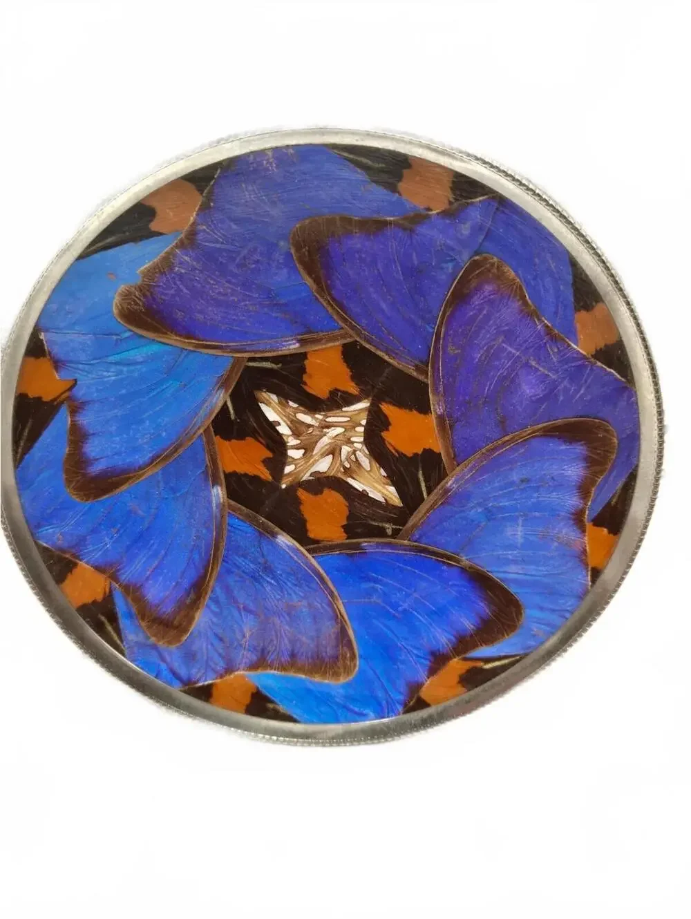 Casa Estylo Santos Vtg MCM Real Blue Morpho Butterfly Wing Art Plate 4.75”